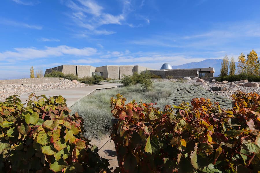 zuccardi 1