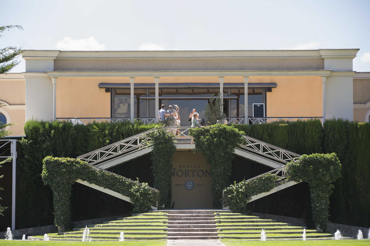 NORTON TERRAZA