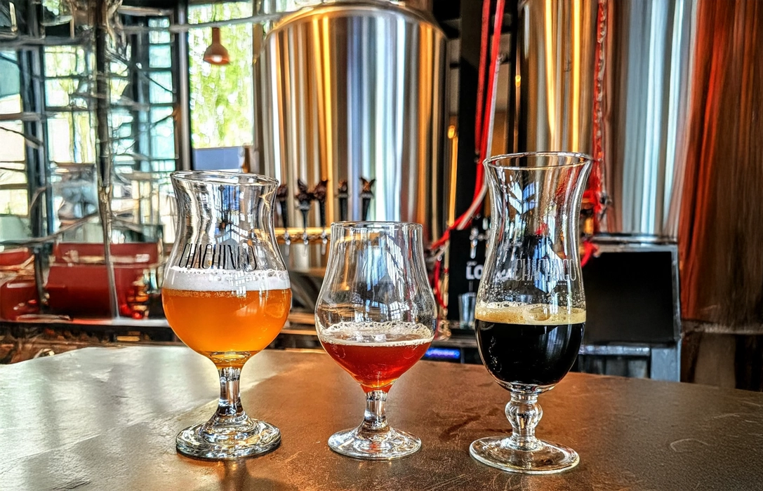Degustación de cervezas