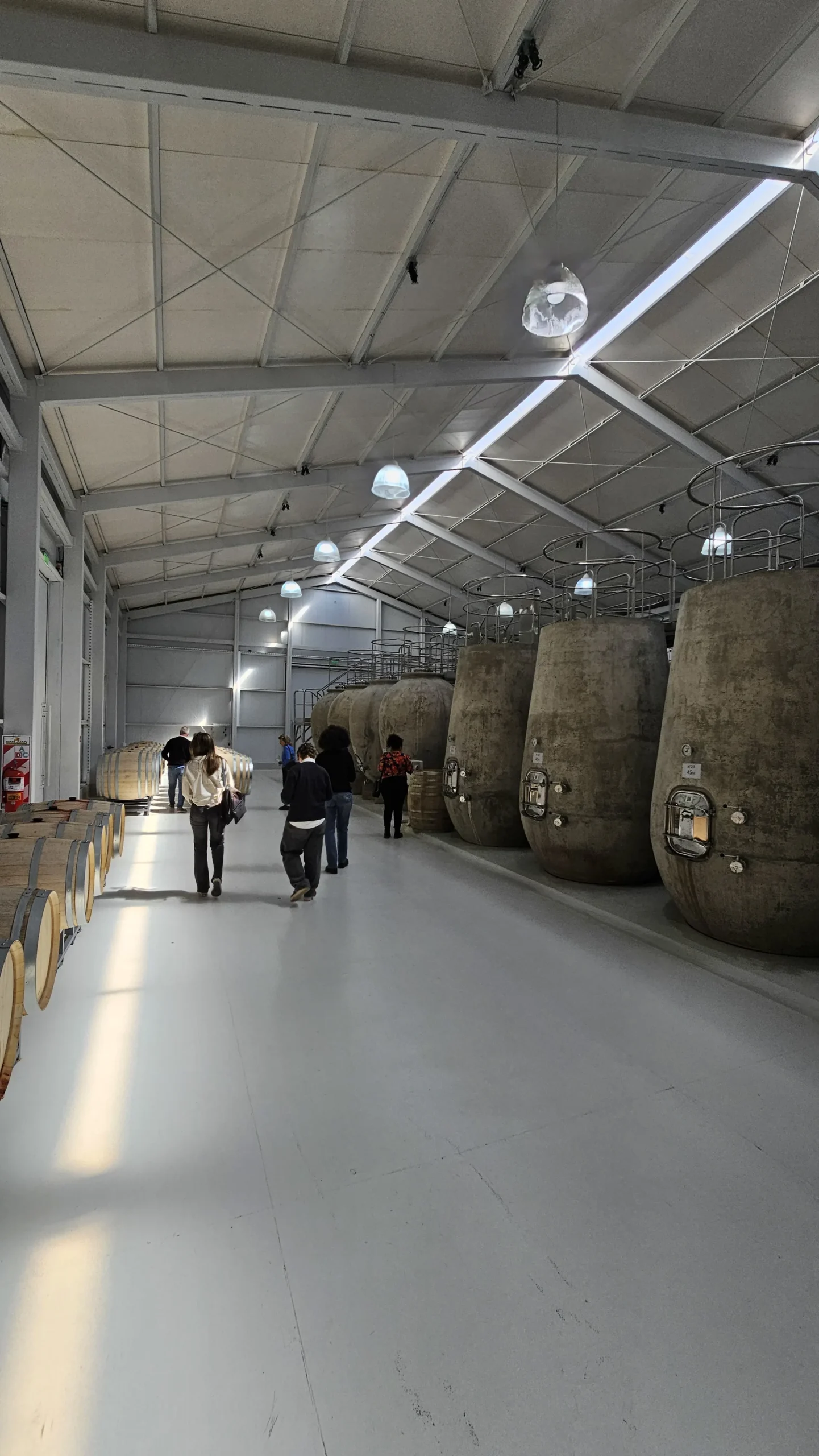 Bodega Xumek Vinos y Naturaleza 2