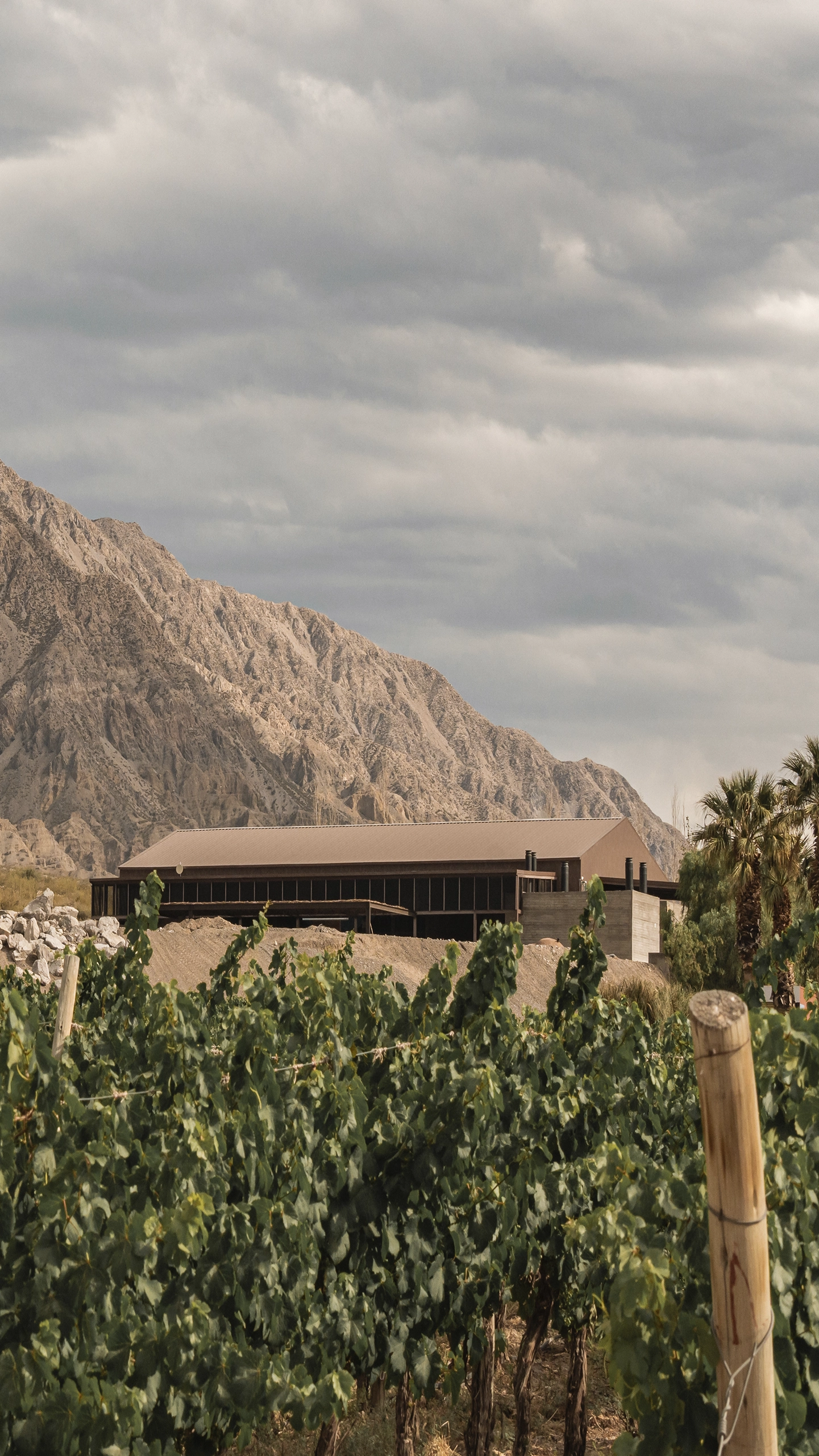 Bodega Xumek Vinos y Naturaleza 25