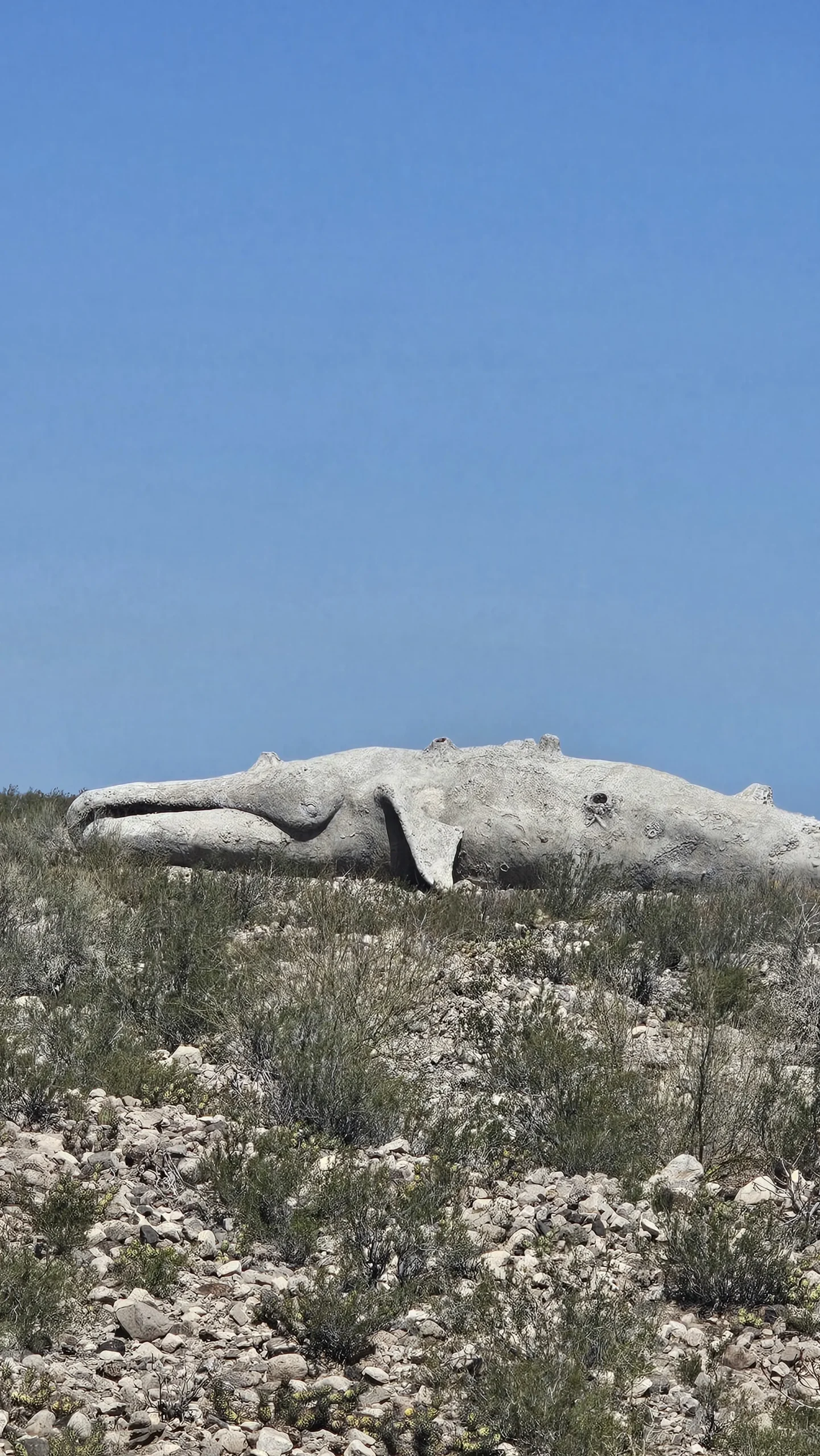 Bodega Xumek Vinos y Naturaleza 5