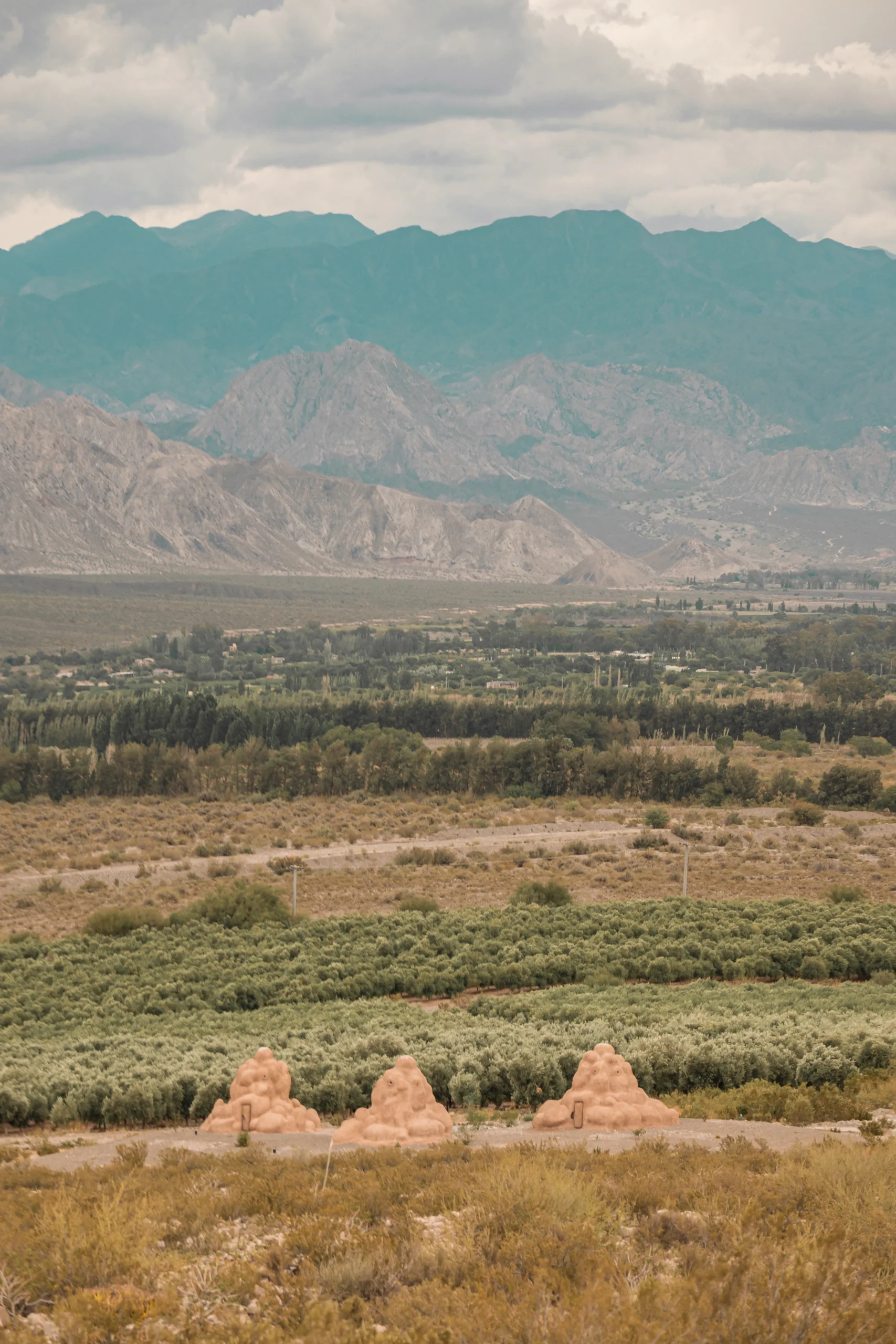 Bodega Xumek Vinos y Naturaleza 9