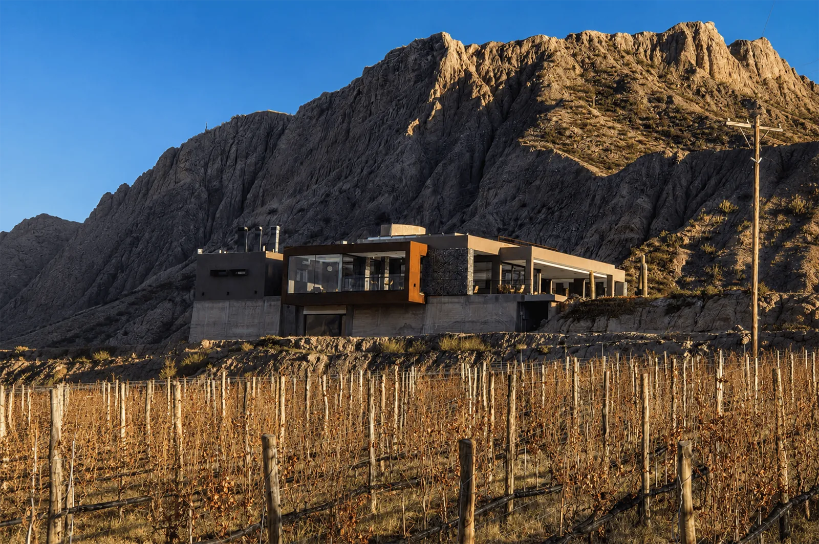 Yacoraite busvitivinicola-jujuy