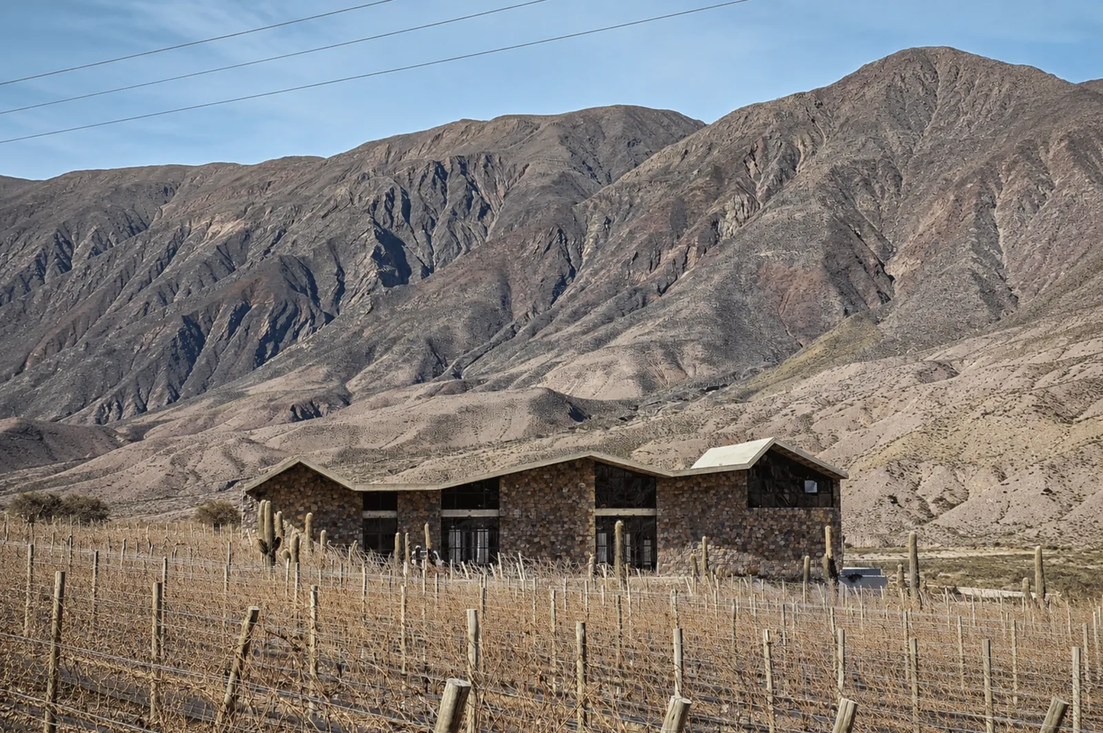 Yanay busvitivinicola-jujuy