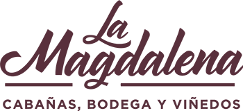logo la magdalena busvitivinicola-jujuy