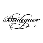 logo-budeguer